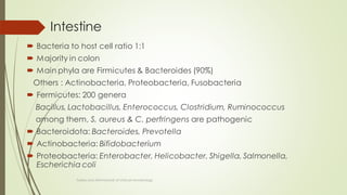 Intestine
 Bacteria to host cell ratio 1:1
 Majority in colon
 Main phyla are Firmicutes & Bacteroides (90%)
Others : Actinobacteria, Proteobacteria, Fusobacteria
 Fermicutes: 200 genera
Bacillus, Lactobacillus, Enterococcus, Clostridium, Ruminococcus
among them, S. aureus & C. perfringens are pathogenic
 Bacteroidota: Bacteroides, Prevotella
 Actinobacteria: Bifidobacterium
 Proteobacteria: Enterobacter, Helicobacter, Shigella, Salmonella,
Escherichia coli
Topley and ASM Manual of clinical microbiology
 