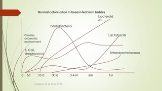 Normal colonisation in breast-fed term babies
Carlsson et al JCM, 1975
E. Coli,
streptococci
bifidobacteria
bacteroid
es
Lactobacilli
Enterobacteriaceae
0 5d 10 d 30 d 3-4 m 6m 1yr
Creates
anaerobic
environment
 