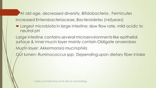  At old age, decreased diversity, Bifidobacteria , Fermicutes
Increased Enterobacteriaceae, Bacteroidetes (>65years)
 Largest microbiota in large intestine: slow flow rate, mild acidic to
neutral pH
Large intestine contains several microenvironments like epithelial
surface & inner mucin layer mainly contain Obligate anaerobes
Mucin layer: Akkermansia muciniphila
Gut lumen: Ruminococcus spp. Depending upon dietary fiber intake
Topley and ASM Manual of clinical microbiology
 