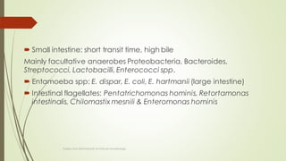 Small intestine: short transit time, high bile
Mainly facultative anaerobes Proteobacteria, Bacteroides,
Streptococci, Lactobacilli, Enterococci spp.
 Entamoeba spp: E. dispar, E. coli, E. hartmanii (large intestine)
 Intestinal flagellates: Pentatrichomonas hominis, Retortamonas
intestinalis, Chilomastix mesnili & Enteromonas hominis
Topley and ASM Manual of clinical microbiology
 