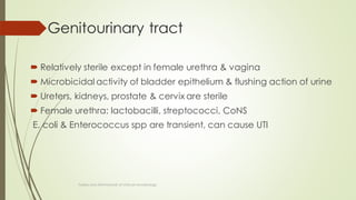Genitourinary tract
 Relatively sterile except in female urethra & vagina
 Microbicidal activity of bladder epithelium & flushing action of urine
 Ureters, kidneys, prostate & cervix are sterile
 Female urethra: lactobacilli, streptococci, CoNS
E. coli & Enterococcus spp are transient, can cause UTI
Topley and ASM Manual of clinical microbiology
 