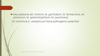  Mycoplasma (M. hominis, M. genitalium, M. fermentans, M.
primatum, M. spermatophilum, M. penetrans)
M. hominis & U. urealyticum have pathogenic potential
Topley and ASM Manual of clinical microbiology
 