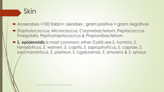 Skin
 Anaerobes >100 folds>> aerobes ; gram positive > gram negatives
 Staphylococcus, Micrococcus, Corynebacterium, Peptococcus,
Finegoldia, Peptostreptococcus & Propionibacterium
 S. epidermidis is most common; other CoNS are S. hominis, S.
hemolyticus, S. warneri, S. capitis, S. saprophyticus, S. caprae, S.
saccharolyticus, S. pasteuri, S. lugdunensis, S. simulans & S. xylosus
Topley and ASM Manual of clinical microbiology
 