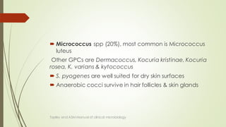  Micrococcus spp (20%), most common is Micrococcus
luteus
Other GPCs are Dermacoccus, Kocuria kristinae, Kocuria
rosea, K. varians & kytococcus
 S. pyogenes are well suited for dry skin surfaces
 Anaerobic cocci survive in hair follicles & skin glands
Topley and ASM Manual of clinical microbiology
 