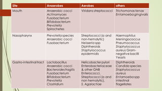 Site Anaerobes Aerobes others
Mouth Anaerobic cocci
Actinomyces
Fusobacterium
Bifidobacterium
Prevotella
Spirochetes
Viridans streptococci Trichomonas tenax
Entamoeba gingivalis
Nasopharynx Prevotella species
Anaerobic cocci
Fusobacterium
Streptococci (α and
non-hemolytic)
Neisseria spp
Diphtheroids
Staphylococcus
epidermidis
Haemophilus
Meningococcus
Pneumococcus
Staphylococcus
aureus Gram-
negative bacilli
Yeasts
Gastro-intestinal tract Lactobacillus
Anaerobic cocci
Bacteroides fragilis
Fusobacterium
Bifidobacterium
Prevotella
Clostridium
Helicobacter pylori
Enterobacteriaceae
& other GNB
Enterococci,
Streptococci (α and
non hemolytic),
S. Agalactiae
Diphtheroids
Candida species
Staphylococcus
aureus
Entamoeba spp
intestinal
flagellates
 