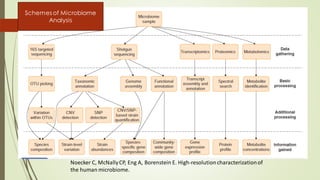 Noecker C, McNallyCP, Eng A, Borenstein E. High-resolutioncharacterizationof
the human microbiome.
Schemes of Microbiome
Analysis
 