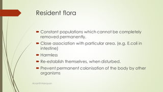 Resident flora
 Constant populations which cannot be completely
removed permanently.
 Close association with particular area. (e.g. E.coli in
intestine)
 Harmless
 Re-establish themselves, when disturbed.
 Prevent permanent colonisation of the body by other
organisms
AnanthNarayan
 