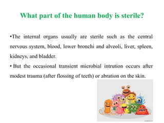 What part of the human body is sterile?
•The internal organs usually are sterile such as the central
nervous system, blood, lower bronchi and alveoli, liver, spleen,
kidneys, and bladder.
• But the occasional transient microbial intrution occurs after
modest trauma (after flossing of teeth) or abration on the skin.
 
