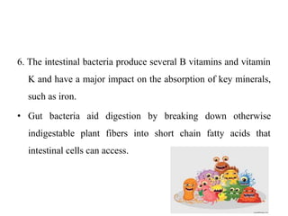 6. The intestinal bacteria produce several B vitamins and vitamin
K and have a major impact on the absorption of key minerals,
such as iron.
• Gut bacteria aid digestion by breaking down otherwise
indigestable plant fibers into short chain fatty acids that
intestinal cells can access.
 