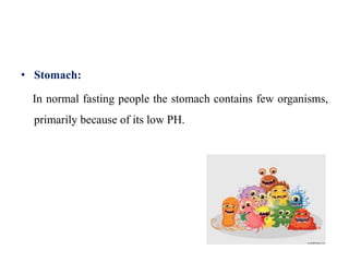 • Stomach:
In normal fasting people the stomach contains few organisms,
primarily because of its low PH.
 