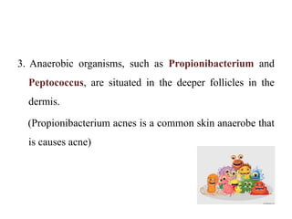 3. Anaerobic organisms, such as Propionibacterium and
Peptococcus, are situated in the deeper follicles in the
dermis.
(Propionibacterium acnes is a common skin anaerobe that
is causes acne)
 
