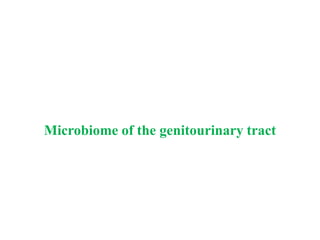 Microbiome of the genitourinary tract
 