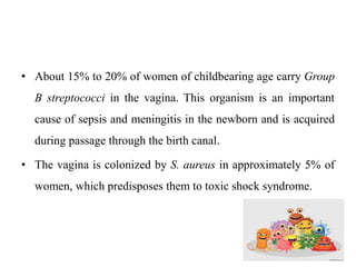 • About 15% to 20% of women of childbearing age carry Group
B streptococci in the vagina. This organism is an important
cause of sepsis and meningitis in the newborn and is acquired
during passage through the birth canal.
• The vagina is colonized by S. aureus in approximately 5% of
women, which predisposes them to toxic shock syndrome.
 