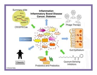 Inflammation
Inflammatory Bowel Disease
Cancer, Diabetes
Summary slide
B. Ravinder Reddy
 