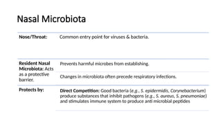 Nasal Microbiota
Nose/Throat: Common entry point for viruses & bacteria.
Resident Nasal
Microbiota: Acts
as a protective
barrier.
Prevents harmful microbes from establishing.
Changes in microbiota often precede respiratory infections.
Protects by: Direct Competition: Good bacteria (e.g., S. epidermidis, Corynebacterium)
produce substances that inhibit pathogens (e.g., S. aureus, S. pneumoniae)
and stimulates immune system to produce anti microbial peptides
 