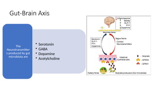 Gut-Brain Axis
• Serotonin
• GABA
• Dopamine
• Acetylcholine
The
Neurotransmitter
s produced by gut
microbiota are
 