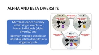 ALPHA AND BETA DIVERSITY:
Microbial species diversity
within single samples or
human individuals (alpha
diversity) and
Between multiple samples or
individuals (beta diversity) at a
single body site
 