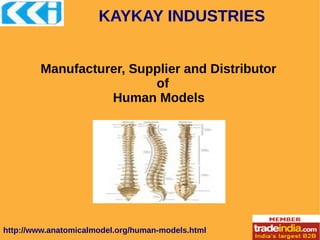 KAYKAY INDUSTRIES
http://www.anatomicalmodel.org/human-models.html
Manufacturer, Supplier and Distributor
of
Human Models
 