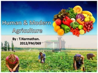 By : T.Narmathan.
2012/FM/069
Human & Modern Agriculture 1
 