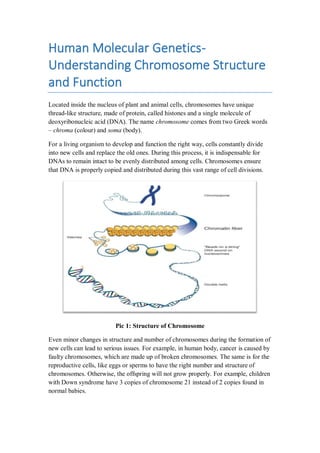 Human Molecular Genetics-
Understanding Chromosome Structure
and Function
Located inside the nucleus of plant and animal cells, chromosomes have unique
thread-like structure, made of protein, called histones and a single molecule of
deoxyribonucleic acid (DNA). The name chromosome comes from two Greek words
– chroma (colour) and soma (body).
For a living organism to develop and function the right way, cells constantly divide
into new cells and replace the old ones. During this process, it is indispensable for
DNAs to remain intact to be evenly distributed among cells. Chromosomes ensure
that DNA is properly copied and distributed during this vast range of cell divisions.
Pic 1: Structure of Chromosome
Even minor changes in structure and number of chromosomes during the formation of
new cells can lead to serious issues. For example, in human body, cancer is caused by
faulty chromosomes, which are made up of broken chromosomes. The same is for the
reproductive cells, like eggs or sperms to have the right number and structure of
chromosomes. Otherwise, the offspring will not grow properly. For example, children
with Down syndrome have 3 copies of chromosome 21 instead of 2 copies found in
normal babies.
 