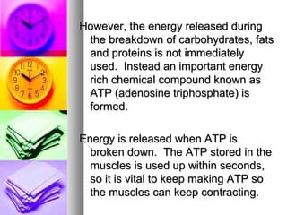 However, the energy released duringHowever, the energy released during
the breakdown of carbohydrates, fatsthe breakdown of carbohydrates, fats
and proteins is not immediatelyand proteins is not immediately
used. Instead an important energyused. Instead an important energy
rich chemical compound known asrich chemical compound known as
ATP (adenosine triphosphate) isATP (adenosine triphosphate) is
formed.formed.
Energy is released when ATP isEnergy is released when ATP is
broken down. The ATP stored in thebroken down. The ATP stored in the
muscles is used up within seconds,muscles is used up within seconds,
so it is vital to keep making ATP soso it is vital to keep making ATP so
the muscles can keep contracting.the muscles can keep contracting.
 