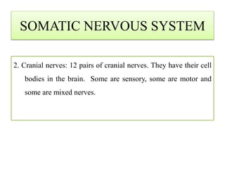 SOMATIC NERVOUS SYSTEM
2. Cranial nerves: 12 pairs of cranial nerves. They have their cell
bodies in the brain. Some are sensory, some are motor and
some are mixed nerves.
 