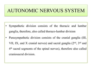 AUTONOMIC NERVOUS SYSTEM
• Sympathetic division consists of the thoracic and lumbar
ganglia, therefore, also called thoraco-lumbar division
• Parasympathetic division consists of the cranial ganglia (III,
VII, IX, and X cranial nerves) and sacral ganglia (2nd, 3rd and
4th sacral segments of the spinal nerves), therefore also called
craniosacral division.
 