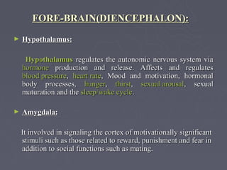 FORE-BRAIN(DIENCEPHALON):
►   Hypothalamus:

     Hypothalamus regulates the autonomic nervous system via
    hormone production and release. Affects and regulates
    blood pressure, heart rate, Mood and motivation, hormonal
    body processes, hunger, thirst, sexual arousal, sexual
    maturation and the sleep/wake cycle.

►   Amygdala:

    It involved in signaling the cortex of motivationally significant
    stimuli such as those related to reward, punishment and fear in
    addition to social functions such as mating.
 