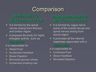 Comparison
     SYMPATHETIC                        PARASYMPATHETIC
    NERVOUS SYSTEM                      NERVOUS SYSTEM
►    It is formed by the spinal     ►    It is formed by vagus nerve,
     nerves arising from thoracic        some of the cranial nerves and
     and lumbar region.                  spinal nerves arising from
► It prepares the body for highly        sacral region.
     energetic activity such as     ► It promotes all the internal
     fight or flight.                    responses associated with a
It is responsible for                    relaxed state.
►   Dilated Pupil                   It is responsible for
►   Accelerated Heartbeat           ► Contracted Pupil
►   Slower Digestion                ► Slower Heartbeat
►   Stimulated glucose release      ► Stimulated Digestion
►   Accelerated breathing rate
 