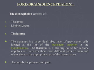 FORE-BRAIN(DIENCEPHALON):

     The diencephalon consists of ;

1.    Thalamus
2.    Limbic system.

1.    Thalamus:

►     The thalamus is a large, dual lobed mass of grey matter cells
      located at the top of the brainstem, superior to the
      hypothalamus. The thalamus is a clearing house for sensory
      impulses as it receives them from different parts of brain and
      relays them to the appropriate part of the motor cortex.

►     It controls the pleasure and pain.
 