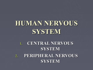 HUMAN NERVOUS
   SYSTEM
     1.    CENTRAL NERVOUS
                SYSTEM
2.        PERIPHERAL NERVOUS
                SYSTEM
 