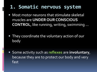 Human nervous system | PPTX