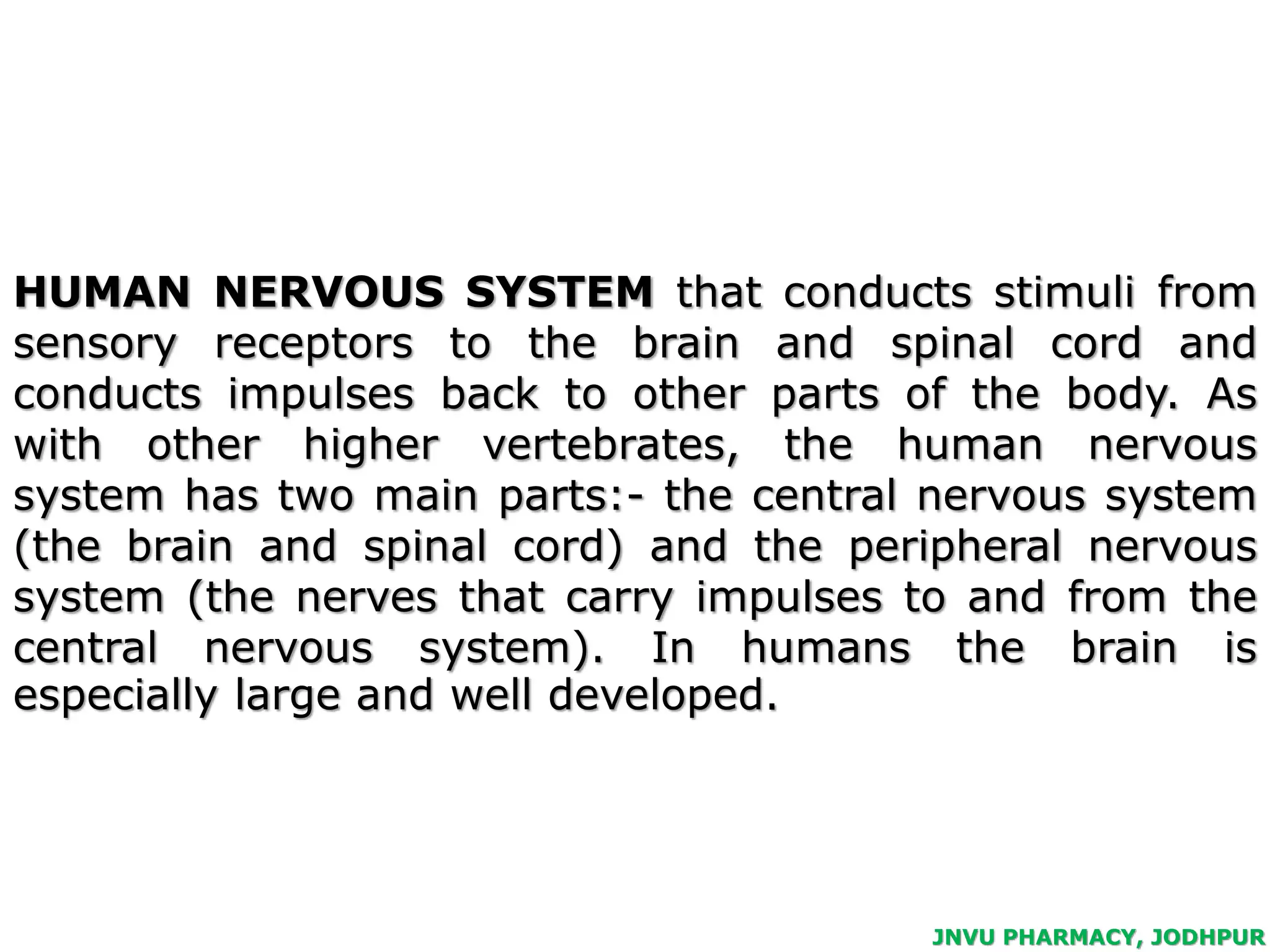 Human nervous system | PPT
