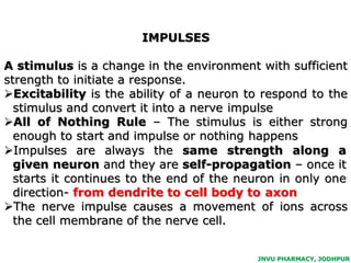 Stimulus Body Part Human nervous system | PPTX