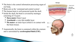 The brain is the central information processing organ of
our body,
Brain acts as the ‘command and control system’.
The human brain is well protected inside the skull.
Inside the skull, the brain is covered by meninges
consisting of 3 Layers
 Dura mater-Outer Layer
 Arachnoid- a very thin middle layer
 Pia mater- an inner layer (which is in contact with
the brain tissue).
Anatomically, the brain is contained within the cranium
and is surrounded by cerebrospinal fluid (CSF).
 