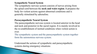 Sympathetic Neural System
The sympathetic nervous system consists of nerves arising from
the spinal cord between the neck and waist region. It prepares the
body for violent actions against abnormal conditions and is
generally stimulated by adrenaline.
Parasympathetic Neural System
The parasympathetic nervous system is located anterior in the head
and neck and posterior in the sacral region. It is mainly involved in
the re-establishment of normal conditions when violent action is
over.
The sympathetic system and the parasympathetic system together
form the autonomous nervous system.
Understand the actions of sympathetic and parasympathetic
systems during emergency situations
 