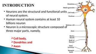 INTRODUCTION
• Neurons are the structural and functional units
of neural system.
• Human neural system contains at least 10
billions neuron
• Neuron is a microscopic structure composed of
three major parts, namely,
Cell body,
Dendrites and
Axon
 