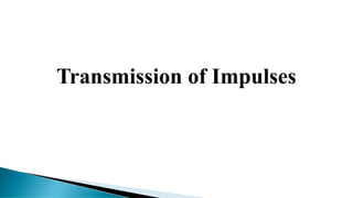 Transmission of Impulses
 