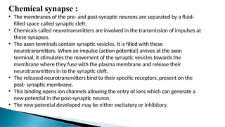 Chemical synapse :
• The membranes of the pre- and post-synaptic neurons are separated by a fluid-
filled space called synaptic cleft.
• Chemicals called neurotransmitters are involved in the transmission of impulses at
these synapses.
• The axon terminals contain synaptic vesicles. It is filled with these
neurotransmitters. When an impulse (action potential) arrives at the axon
terminal, it stimulates the movement of the synaptic vesicles towards the
membrane where they fuse with the plasma membrane and release their
neurotransmitters in to the synaptic cleft.
• The released neurotransmitters bind to their specific receptors, present on the
post- synaptic membrane.
• This binding opens ion channels allowing the entry of ions which can generate a
new potential in the post-synaptic neuron.
• The new potential developed may be either excitatory or inhibitory.
 