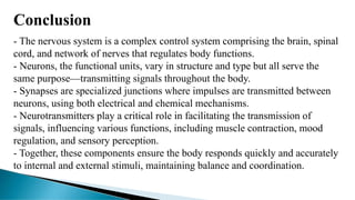Conclusion
- The nervous system is a complex control system comprising the brain, spinal
cord, and network of nerves that regulates body functions.
- Neurons, the functional units, vary in structure and type but all serve the
same purpose—transmitting signals throughout the body.
- Synapses are specialized junctions where impulses are transmitted between
neurons, using both electrical and chemical mechanisms.
- Neurotransmitters play a critical role in facilitating the transmission of
signals, influencing various functions, including muscle contraction, mood
regulation, and sensory perception.
- Together, these components ensure the body responds quickly and accurately
to internal and external stimuli, maintaining balance and coordination.
 