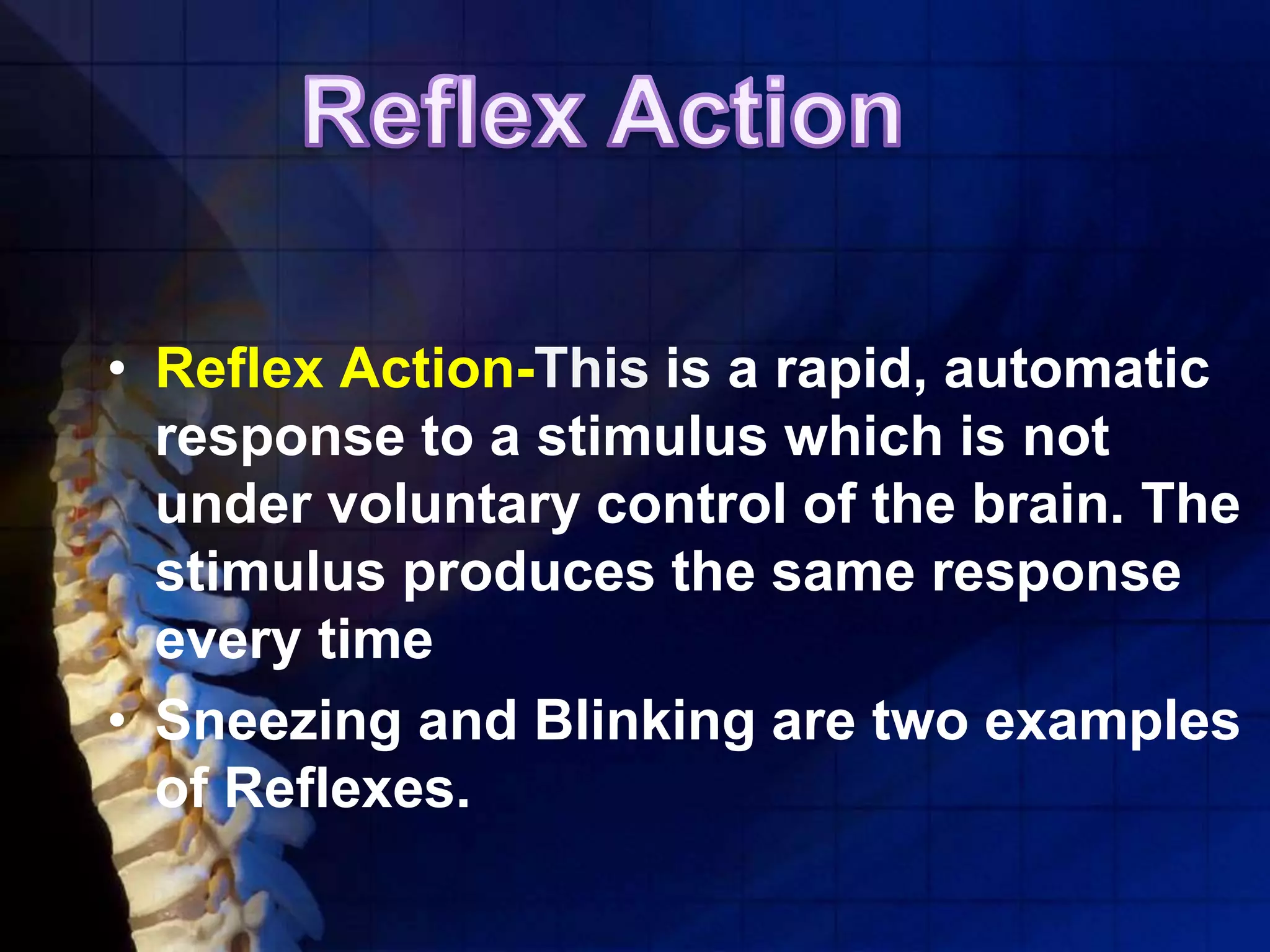 • Reflex Action-This is a rapid, automatic
response to a stimulus which is not
under voluntary control of the brain. The
stimulus produces the same response
every time
• Sneezing and Blinking are two examples
of Reflexes.
 
