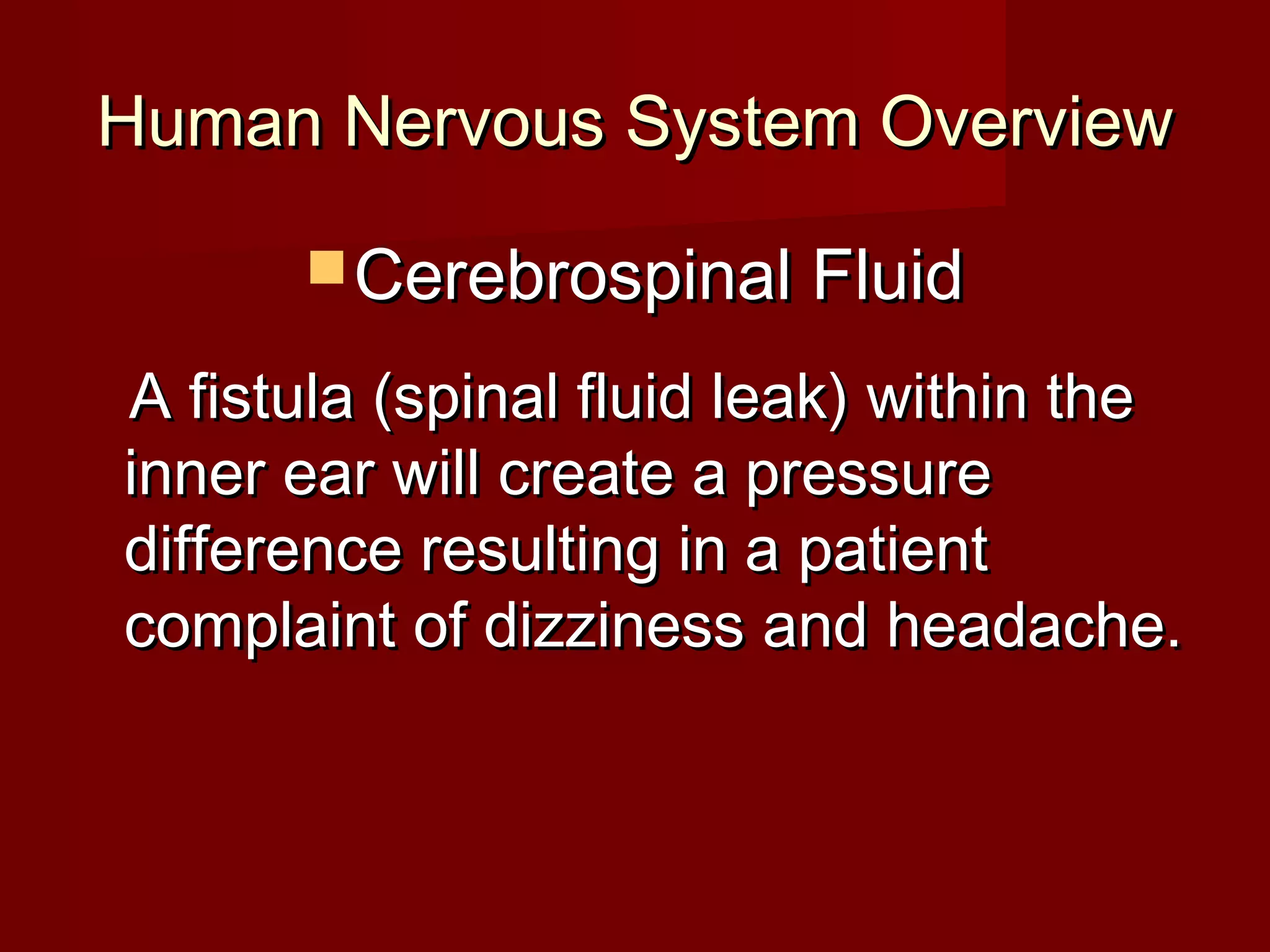 Human Nervous System Overview

       Cerebrospinal Fluid

A fistula (spinal fluid leak) within the
inner ear will create a pressure
difference resulting in a patient
complaint of dizziness and headache.
 