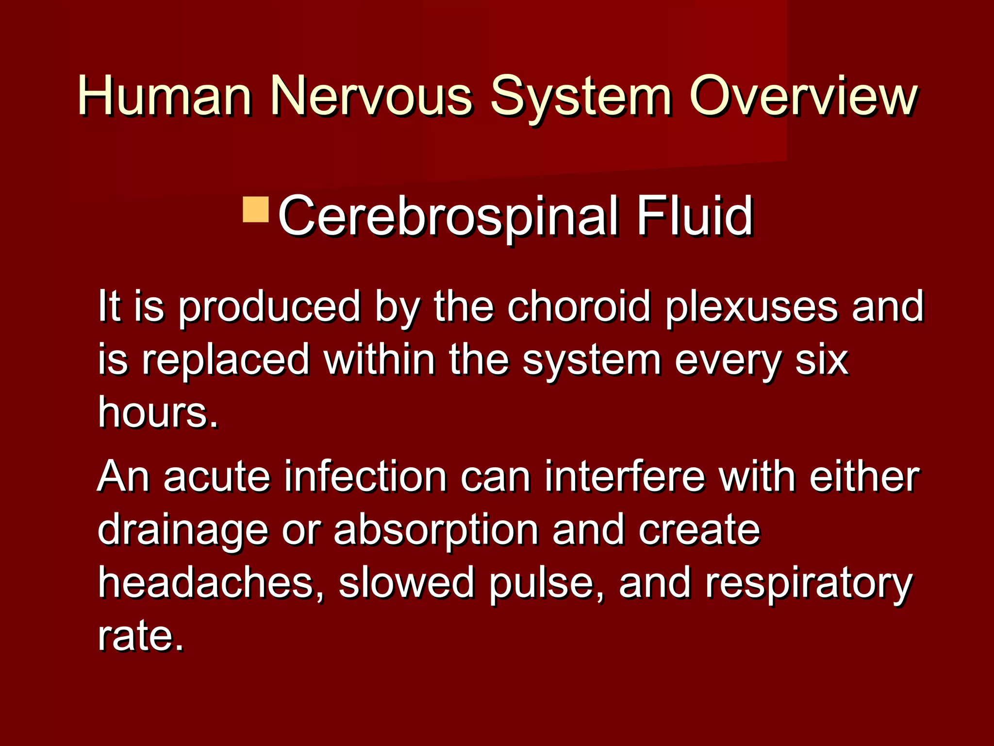 Human Nervous System Overview

        Cerebrospinal Fluid

It is produced by the choroid plexuses and
is replaced within the system every six
hours.
An acute infection can interfere with either
drainage or absorption and create
headaches, slowed pulse, and respiratory
rate.
 