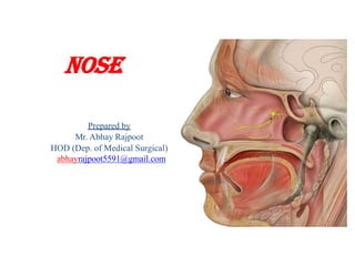 NOSE
Prepared by
Mr. Abhay Rajpoot
HOD (Dep. of Medical Surgical)
abhayrajpoot5591@gmail.com
 