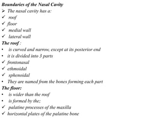 Boundaries of the Nasal Cavity
 The nasal cavity has a:
 roof
 floor
 medial wall
 lateral wall
The roof :
• is curved and narrow, except at its posterior end
• it is divided into 3 parts
 frontonasal
 ethmoidal
 sphenoidal
• They are named from the bones forming each part
The floor:
• is wider than the roof
• is formed by the;
 palatine processes of the maxilla
 horizontal plates of the palatine bone
 