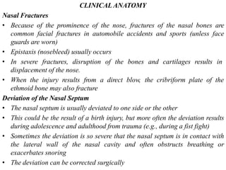 CLINICAL ANATOMY
Nasal Fractures
• Because of the prominence of the nose, fractures of the nasal bones are
common facial fractures in automobile accidents and sports (unless face
guards are worn)
• Epistaxis (nosebleed) usually occurs
• In severe fractures, disruption of the bones and cartilages results in
displacement of the nose.
• When the injury results from a direct blow, the cribriform plate of the
ethmoid bone may also fracture
Deviation of the Nasal Septum
• The nasal septum is usually deviated to one side or the other
• This could be the result of a birth injury, but more often the deviation results
during adolescence and adulthood from trauma (e.g., during a fist fight)
• Sometimes the deviation is so severe that the nasal septum is in contact with
the lateral wall of the nasal cavity and often obstructs breathing or
exacerbates snoring
• The deviation can be corrected surgically
 