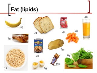Fat (lipids)
                                                    .5g



             .5g
                                     2g        0g
                    2g

     6g



                                     0g

                     3g                   0g


                               14g
1g                        5g
 
