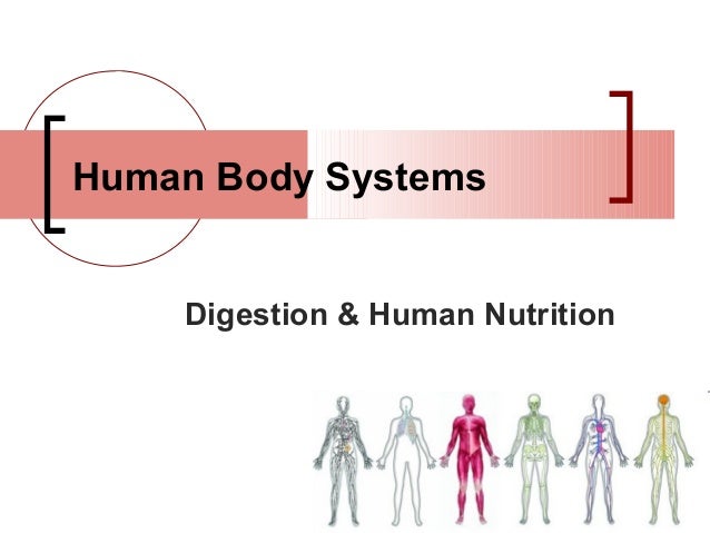 human nutrition human nutrition
