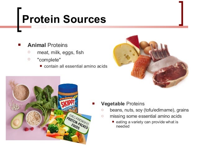 human nutrition