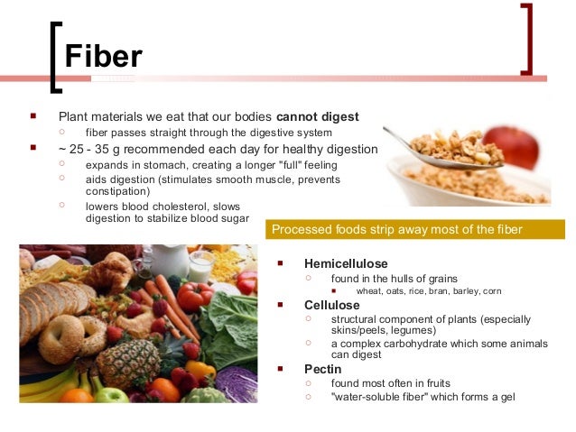 human nutrition